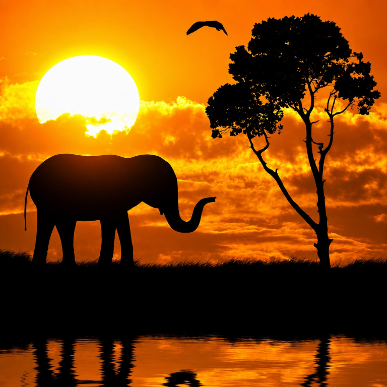 10x10ft Elephant Silhouette Backdrop
