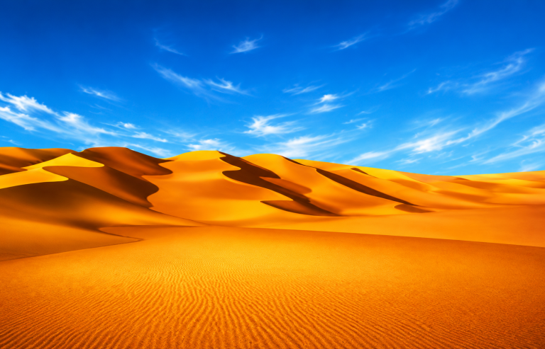 20x10ft-Desert-Backdrop