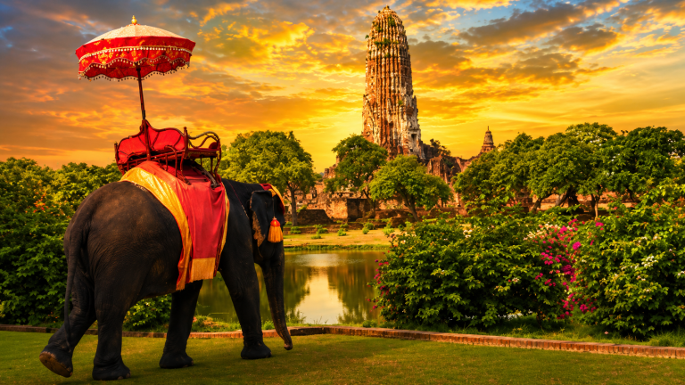 20x10ft-Elephant-Ride-Backdrop