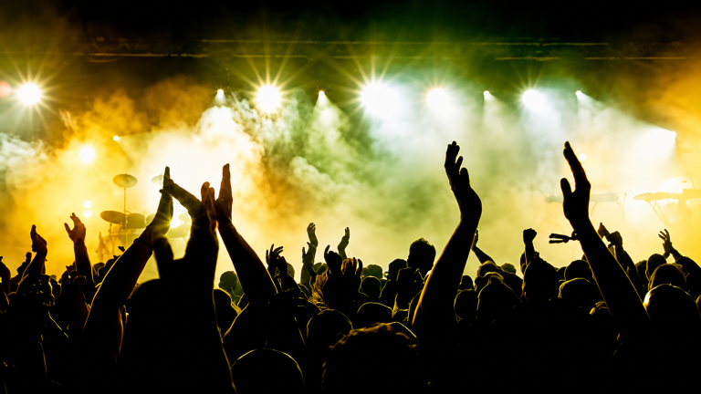 20x10ft Festival Backdrop