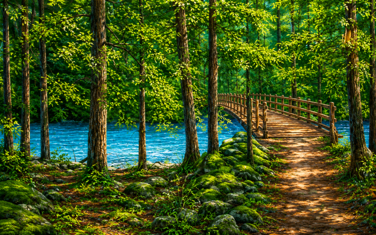 20x10ft-Woodland-Backdrop