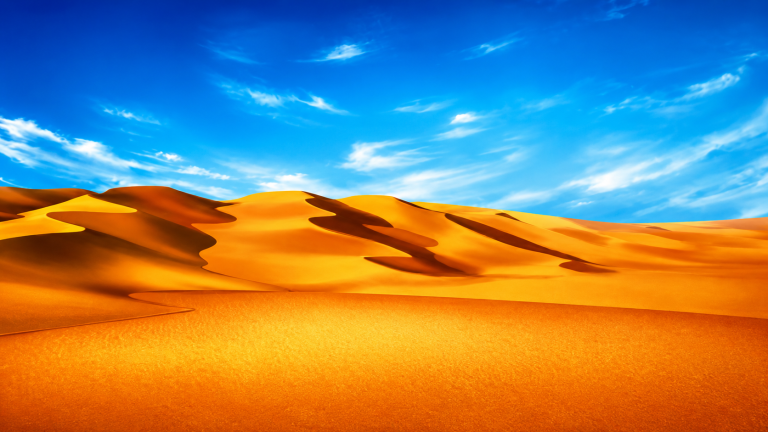 20x10ft-Desert-Backdrop