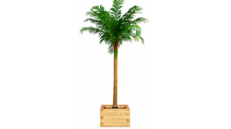 10ft Palm Trees (various styles available)