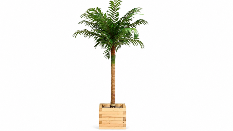 10ft Palm Trees (various sizes available)