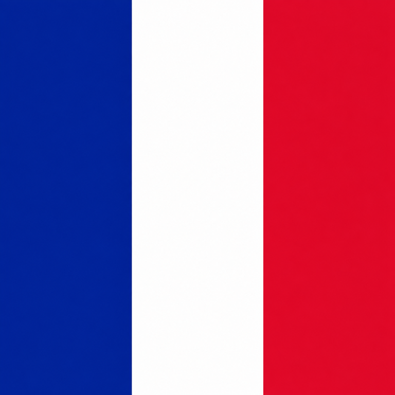 10x10ft French Flag Backdrop