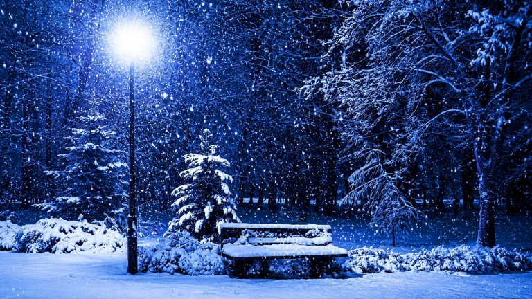 10x10ft Winter Park Backdrop
