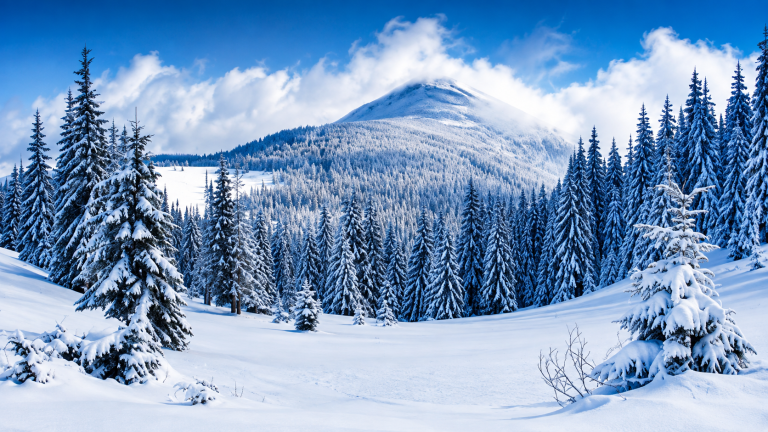 20x10ft Alpine Scene Backdrop