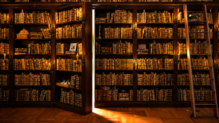 20x10ft-Secret-Library-Backdrop