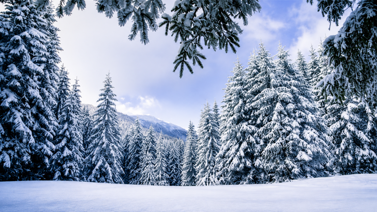20x10ft Winter View Backdrop