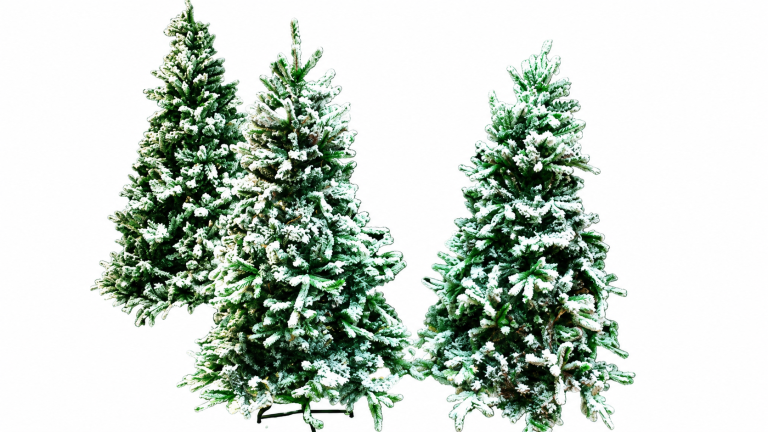 6ft-Trees-313×300
