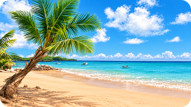 20x10ft Beach Backdrop