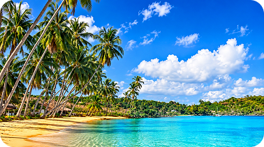 20x10ft Caribbean Beach Backdrop